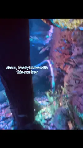 :3 #quotes #crush #ilovemycrush🤍 #legolandmalaysia #fish 