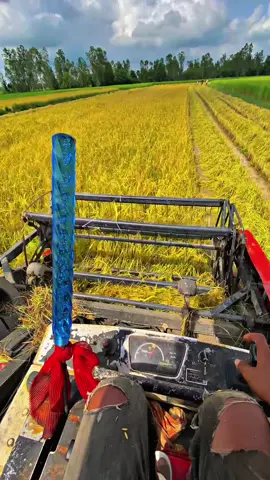 #fyp #សុំ❤️ម្នាក់មួយមកok🙏❤️❤️ #💸 #កំពង់ធំផ្ទះខ្ញុំ🏠🦋 #🌾🌾🌾 