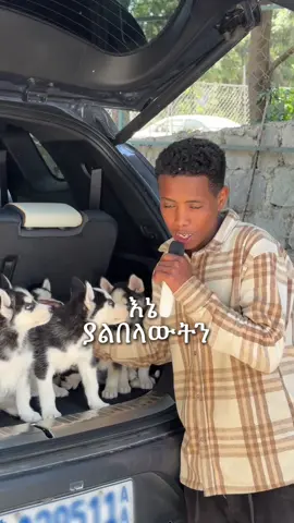 What i feed for my puppies at home. #dogfeeding #dogtreats #ethiopian_tik_tok🇪🇹🇪🇹🇪🇹🇪🇹 #oromotiktok #habeshagirl 