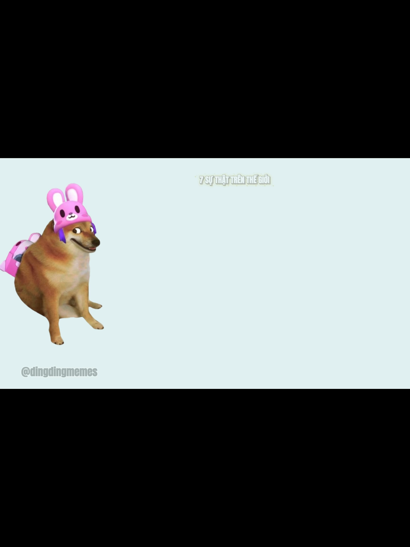 Ding Ding memes: 7 sự thật trên thế giới#funny #trending #cheemsmeme #dingdingtv