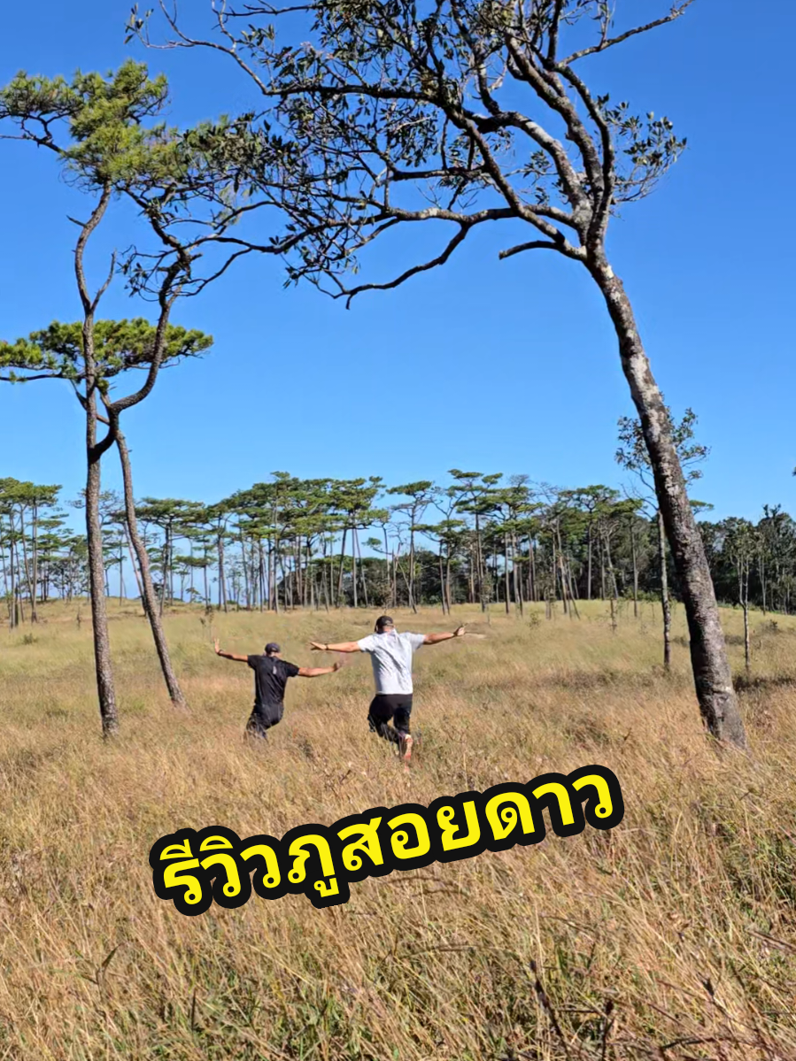ภูสอยดาวคนอื่นเป็นไง ⛰️🌲😅 #รีวิว #เดินป่า #เดินป่าไทย #ภูสอยดาว #อุทยานแห่งชาติภูสอยดาว @นาย ทองก้อน 