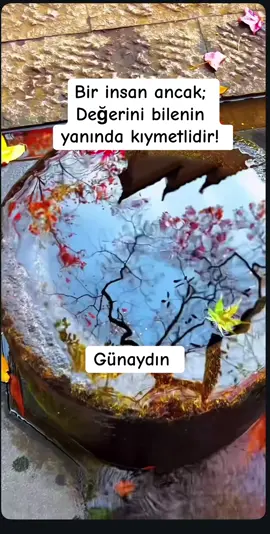 #günaydın #değer #mutlusabahlar #mutlugünler #kabasakalca 