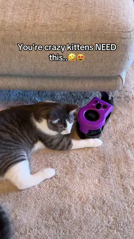 You know they would love this🙏 #cats #cattoys #kitten #fyp 