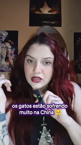 salve os gatinhos da china vamos vencer esta luta!!!🐈🐈🐈🇨🇳🇨🇳🇨🇳🇨🇳😔😿😿#salveosgatinhosdachina #fyp #viraltiktok #cats #salveosanimais @brino @lizx.macedo @Tio Sun @Resistência Felina 🇧🇷 