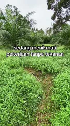 pigi semaunya pulang sesuka nya #ngarit  