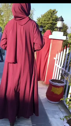 🦋❤️#miu #endlessjourney #mk #vibes #kashmir 