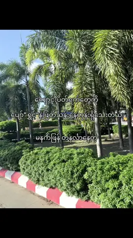 #ptn9i #likeလေးတော့ပေးပါ😣 #view #fypviralシviral #fyppppppppppppppppppppppp 