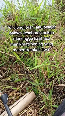 embung pasir  #mancingmania #mancingnila #hiburan 