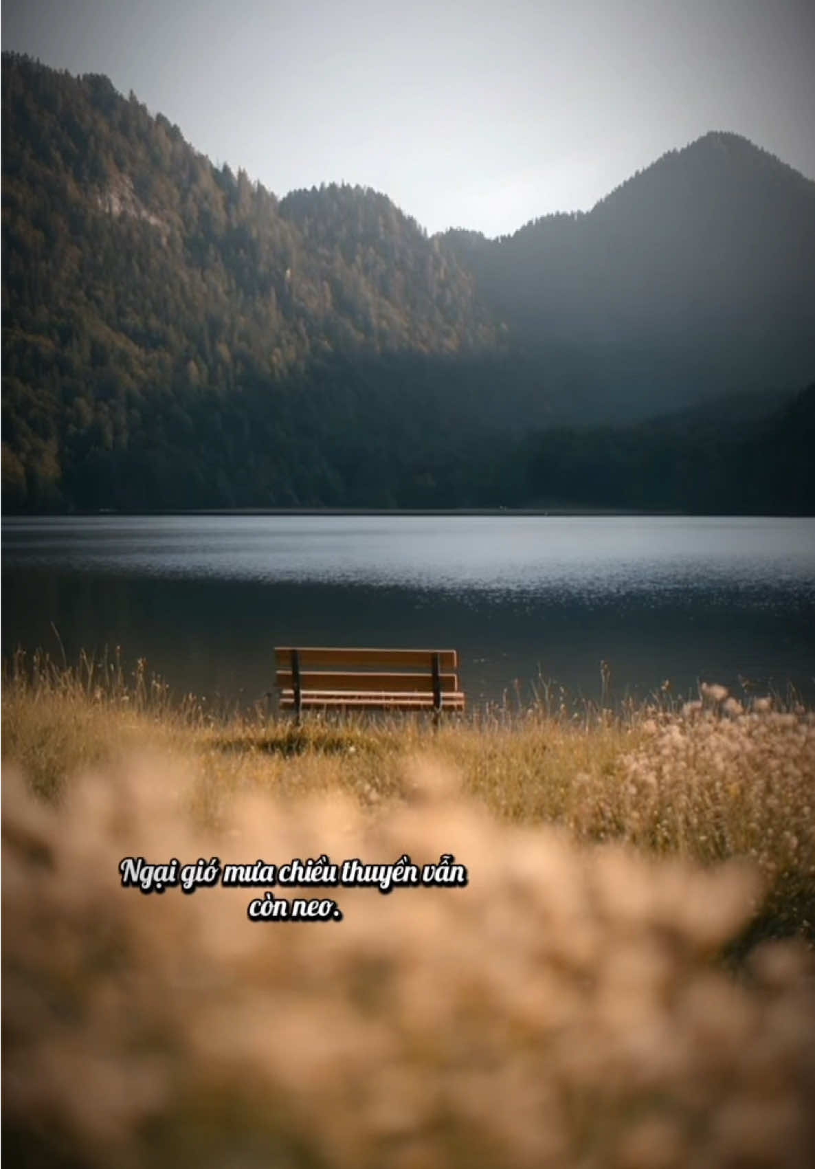 Có lẽ đến một độ tuổi nào đó, chúng ta sẽ thôi mong chờ một cái kết đẹp, mà chỉ mong bản thân đủ vững vàng để đi qua những ngày chênh vênh. Một đời rực rỡ thì tốt, bình thường cũng chẳng sao, đừng chèn ép bản thân quá, cũng chỉ là một đời thôi mà... (St) #bolero #nhactamtrang #canhdepthiennhien #trietlycuocsong #huongmuahe  @🍃 Hương Mùa Hè 🍃  @🍃 Hương Mùa Hè 🍃  @🍃 Hương Mùa Hè 🍃 