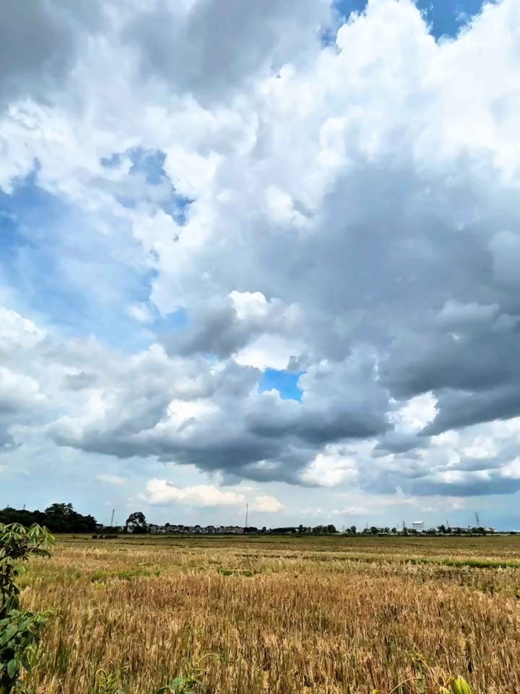 indahnya langit sebelum hujan datang😁😁🤟🏻🤟🏻 #mSim11 #microsoftedge #Ccpro #4K