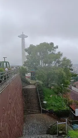 🌸🌸🌸 CẢNH ĐẸP NHẠC HAY 🌸🌸🌸 TOUR THAM QUAN DU LỊCH VÀ NGHỈ DƯỠNG VIEW TRIỆU ĐÔ 🌸🌸🌸 VILLA FAMILY BẢO KHANG 🌸🌸🌸