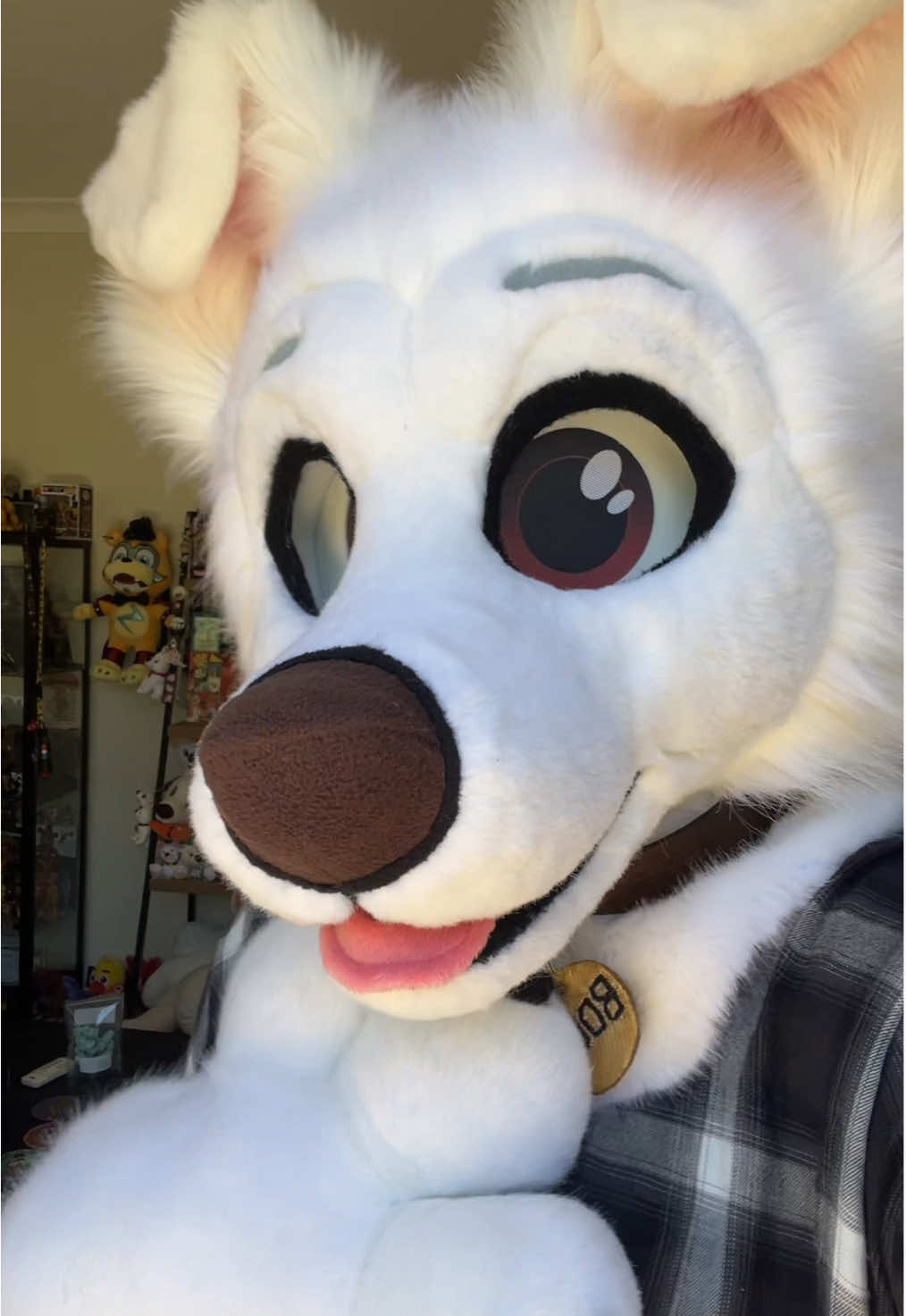 Try explaining to someone that u spend most of ur time collecting items from a Disney movie everyone forgot about 💀 #furry #fursuit #bolt #disneybolt 