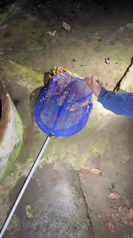 85年前に作られた井戸数々の伝説がある井戸の底にはお地蔵さん浮いてる物体は人形だった、謎はまだある#心霊スポット #怖い 