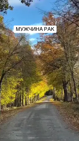 #ракзнакзодиака 