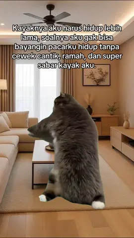 #MemeCut #MemeCut #fyp #Meme #memestiktok 