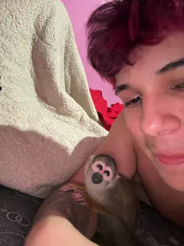 @Zullyy 🦦🦦🦦