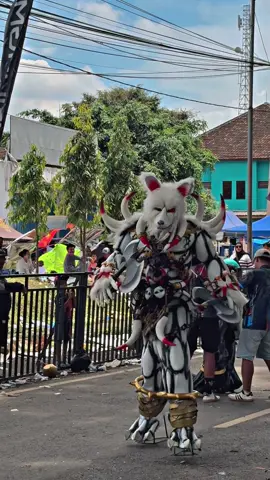 Monster kelinci🐰 vs bedes🦍 iki gudu’ atraksi🤩 #pesonagondanglegi #fyp 