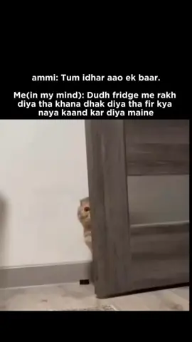 Ammi:- tm udr aoo aik br😂 #mothercalledme #me #funnyii #fyp #unfeeezemyaccountttt 