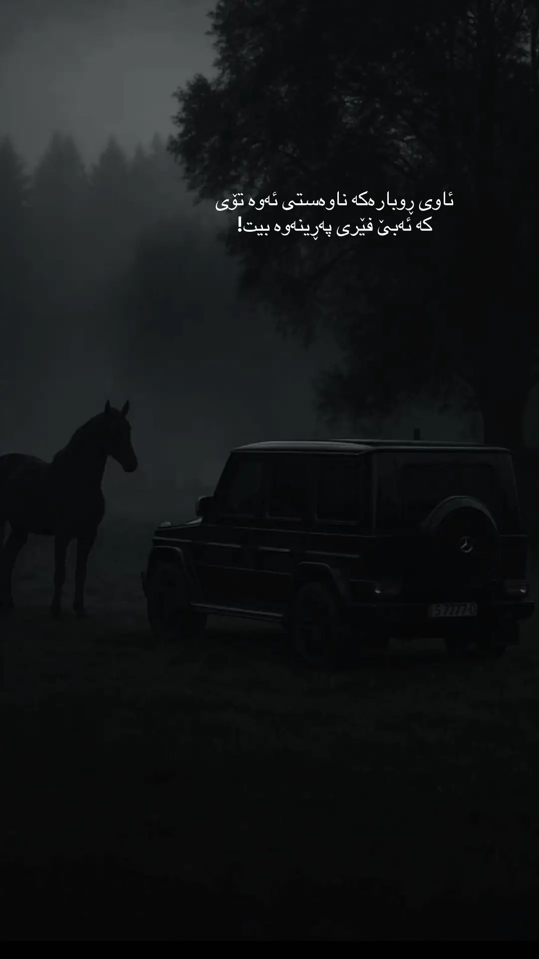 #kurdistan #erbil #foryou #tiktok #foryoupage 