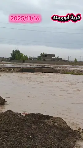 #الحمدلله_دائماً_وابداً #اللهم #لكه #الحمد #ماشاءالله_تبارك_الله 