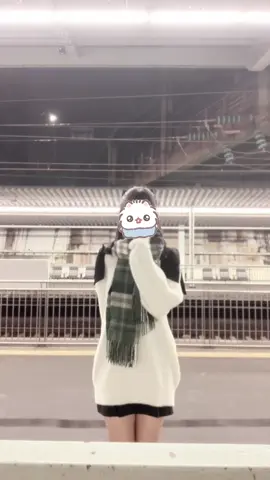 カリスマガンボツアー2日目に参戦してきましたっ!꒰ ྀི ∩⸝⸝∩ ꒱ #カリスマ #カリスマガンボツアー #凡人 #推し活 