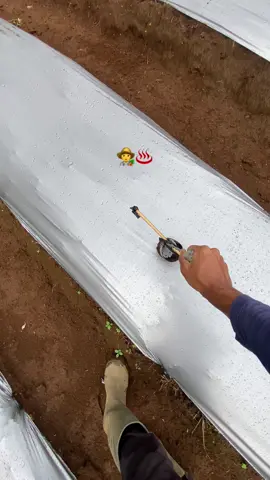 Semua mempunyai tujuan yg indah,  tidak semua memiliki langkah indah🍃🍃#petanimuda #petaniindonesia🇮🇩🇮🇩🇮🇩🌿🌿 #petanimilenial #xybca 