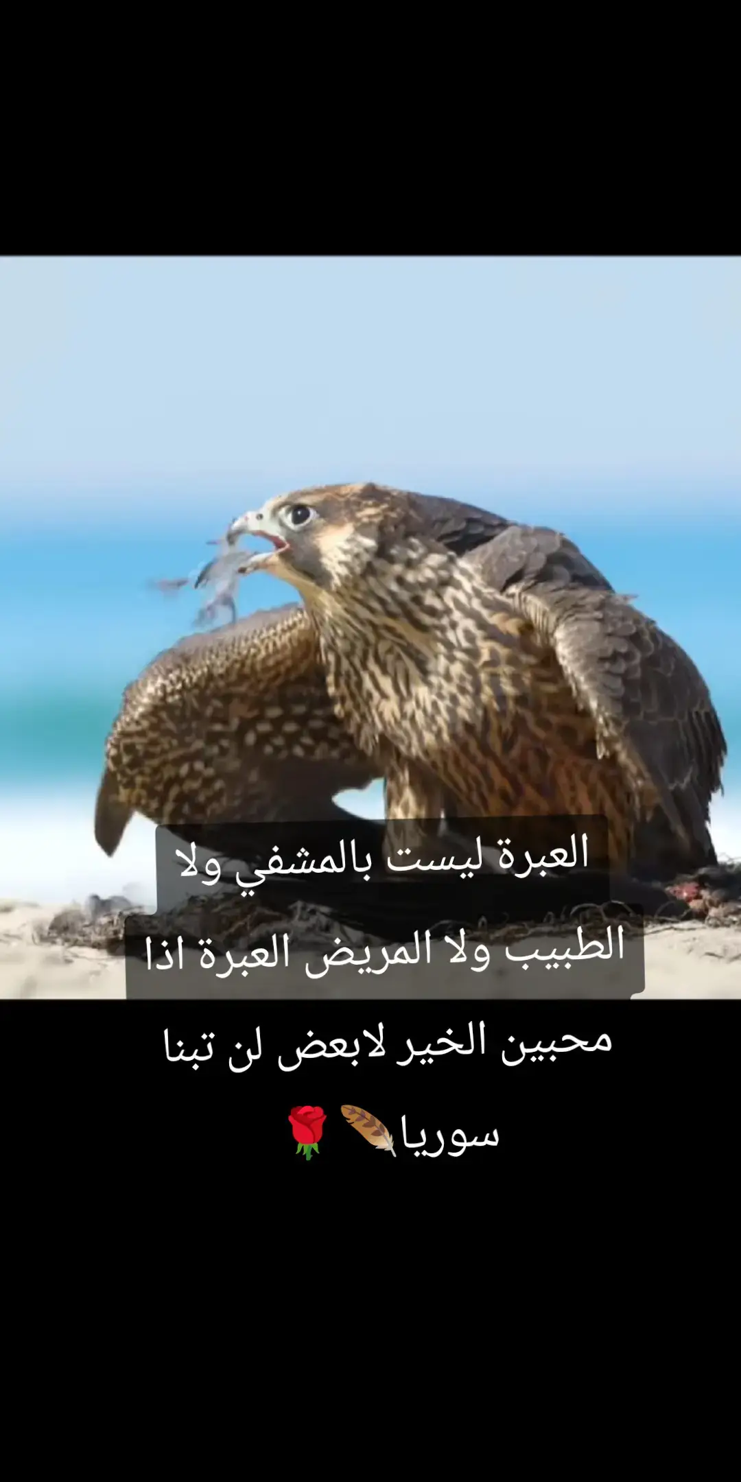 اذا محبينا الخير لابعض لن تبنا سوريا