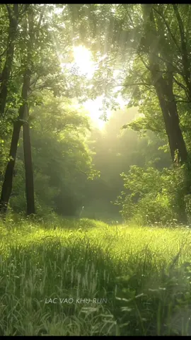 Lạc à ?? #CapCut  #background #loibaihat 