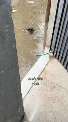 شلون واحد راح يطلع مادري😂#جامعة_الموصل #الشعب_الصيني_ماله_حل😂😂 