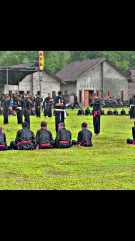 Jamane spo kie korr #psht1922 #pshtpusatmadiun #mumbulsari #pshtjembertimur #pshtjember 