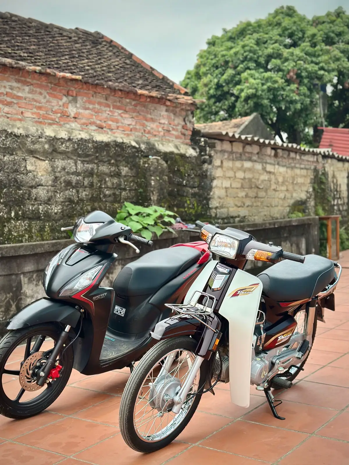 cố gắng mỗi năm làm 1 em😁#dream #visondonkieng #xuhuongtiktok 