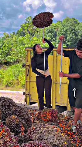 Sedia aku sebelum hujan🤭 Ini yang minta video tanpa kata kata nya ya🙏#cewekpemuatsawit🔥 #lewatberandafyp #juma #fyp 