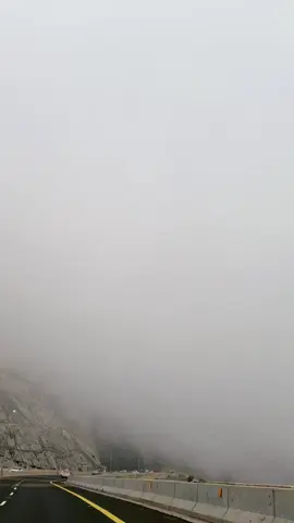 #ضباب_الهدا_الطائف #الطائف#مدينة_الورد#اكسبلورexplore 