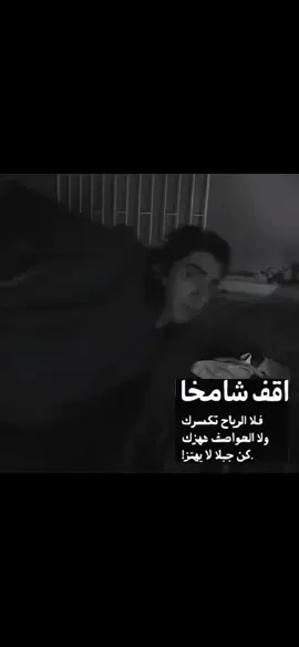 اقف شامخا🐺 #وادي_الذئاب #تصميم_فيديوهات🎶🎤🎬 #مرادعلمدار_وادي_الذئاب_ميماتي_باااش 