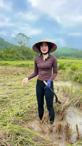 Bít ló bổ cho mẹ #thuybaby #hatinh #fyp 