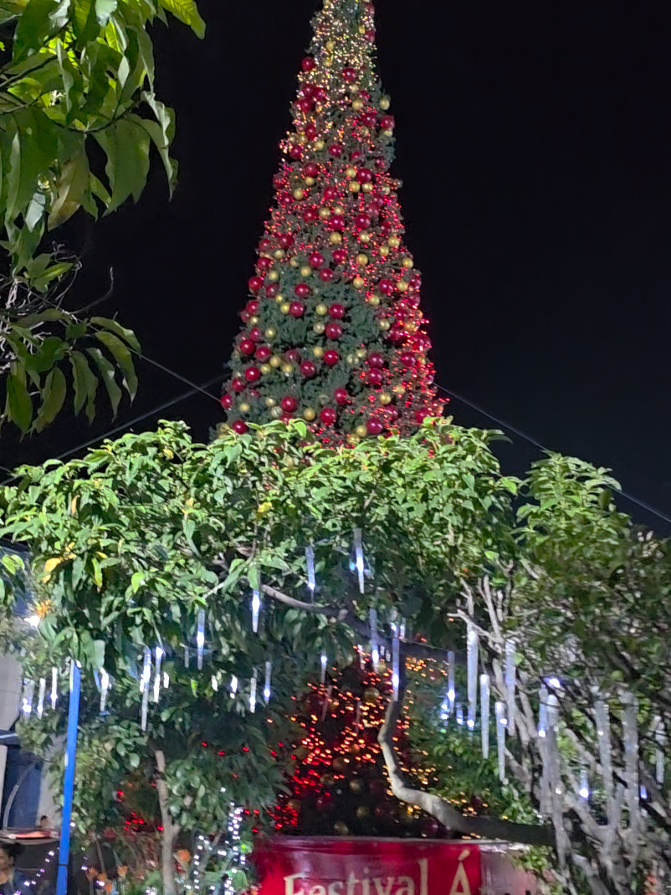 cada dia mas cerca de comer tamales 