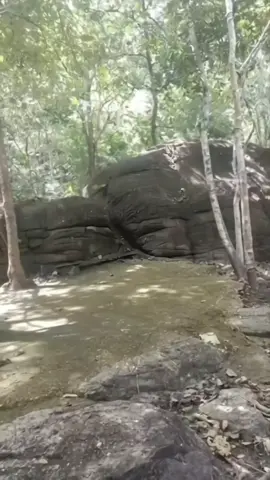 #thanh tam hoan hy don nhan may man tai loc tien tai #tamlinhhuyenbi#tamlinhhuyenao#trietlycuocsong#baihoccuocsong