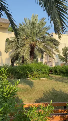 #جامعة_الامام_جعفر_الصادق #طلاب_الجامعات #كلية_القانون #علم_النفس_السريري #كلية_الصيدلة 