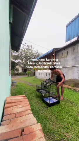 DAY 1 mandikan kacer bahan#kicaumania #fyppppppppppppppppppppppp #kicaumaniaindonesia 