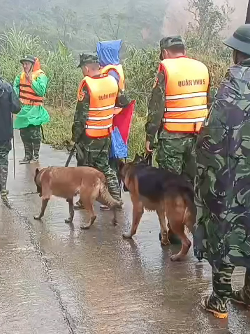 Sáng ngày 16/11, công tác tìm kiếm các nạn nhân mất tích trong vụ sạt lở đất kinh hoàng tại xã Hùng Sơn (Đà Nẵng) được Quân khu 5 tiếp tục triển khai khẩn trương, với sự chỉ đạo trực tiếp của Đại tá Đỗ Xuân Hùng, Phó Tham mưu trưởng Quân khu. Lực lượng được huy động bao gồm hàng trăm cán bộ, chiến sĩ từ các đơn vị thuộc Quân khu 5, cùng với sự hỗ trợ của lực lượng Công an, dân quân tự vệ địa phương. Đáng chú ý, các chó nghiệp vụ được huấn luyện đặc biệt cho công tác tìm kiếm cứu nạn cũng đã được tăng cường đến hiện trường.  Với khứu giác nhạy bén, những 