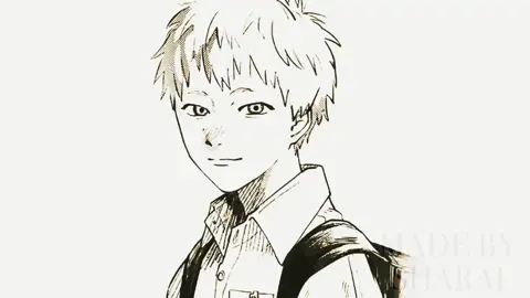 Alr I lied I’ll make one more edit. Art : mokumokuren, rozaviya, frosted-c0okies, vinterr, @希希 #fyp #tshdedit #thesummerhikarudied #hikaru #tshd 