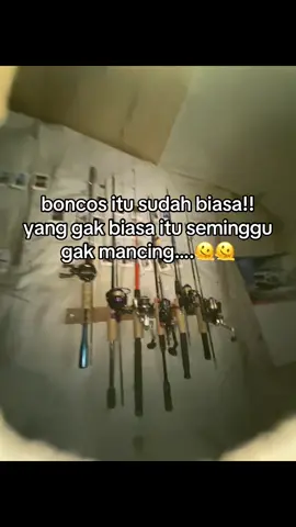 sudahhh lamaa tidak menelusuri spot#mancing #castingfishing🎣 #fyppppppppppppppppppppppp 