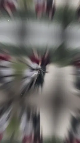 2 cháu không cần ny 🤣🤪#xuhuongtiktok #xh 