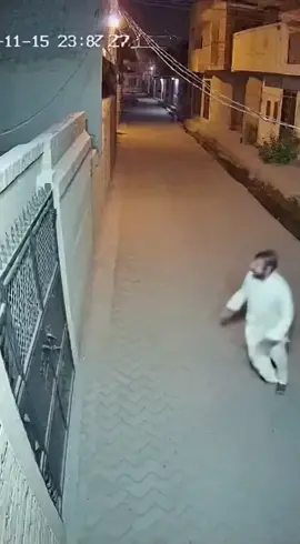 #ai #cctv #sora2 #lion #attack 