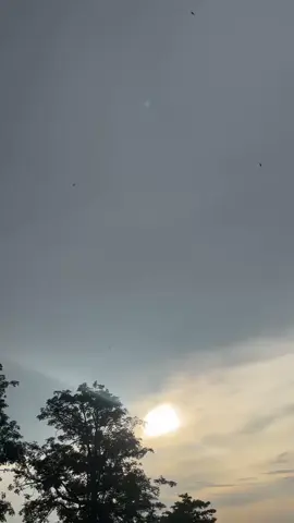 #twostroke #suzukibravorc100 #jetcooled #rc100indonesia #fyp 