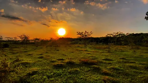 👤🎶#uoclenxuhuong #xuhuongtiktok #vairal #tamtrang 