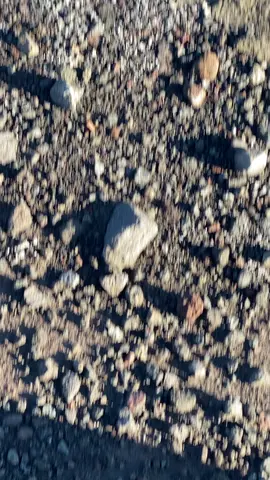 #vibes #fyp #xybca #semeru #masukberanda 