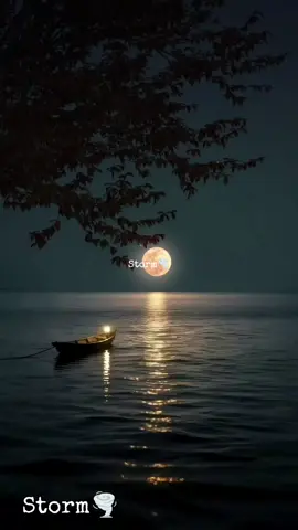 #فعلا_نبتدي_منين_الحكاية.......  #عبد_الحليم_طرب_قديم_عبد_الوهاب_نبتدي_منين_الحكاية_عزف_اورغ_فايز#موسيقى_عالمية_اجنبي_عربي_مشهورة_مميز_خريف_عزف__نهر_صوت_عصافير_طبيعة #موسيقى_كاملة_طبيعة_بحر_عزف_رواق_هدوء_مميز_تركيا_هولندا_بلجيكا_اوروبا #هادء_كلاسيك_مقولات_ستوري_تركي_ليل_رومنس_مميز 