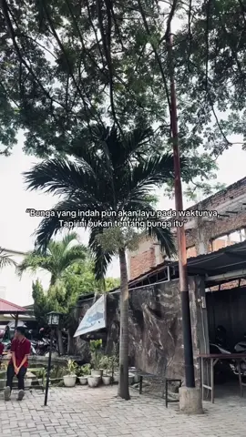 pov: Mardua holong ver indonesia🎧🎶#marduaholongcover #palusulteng 