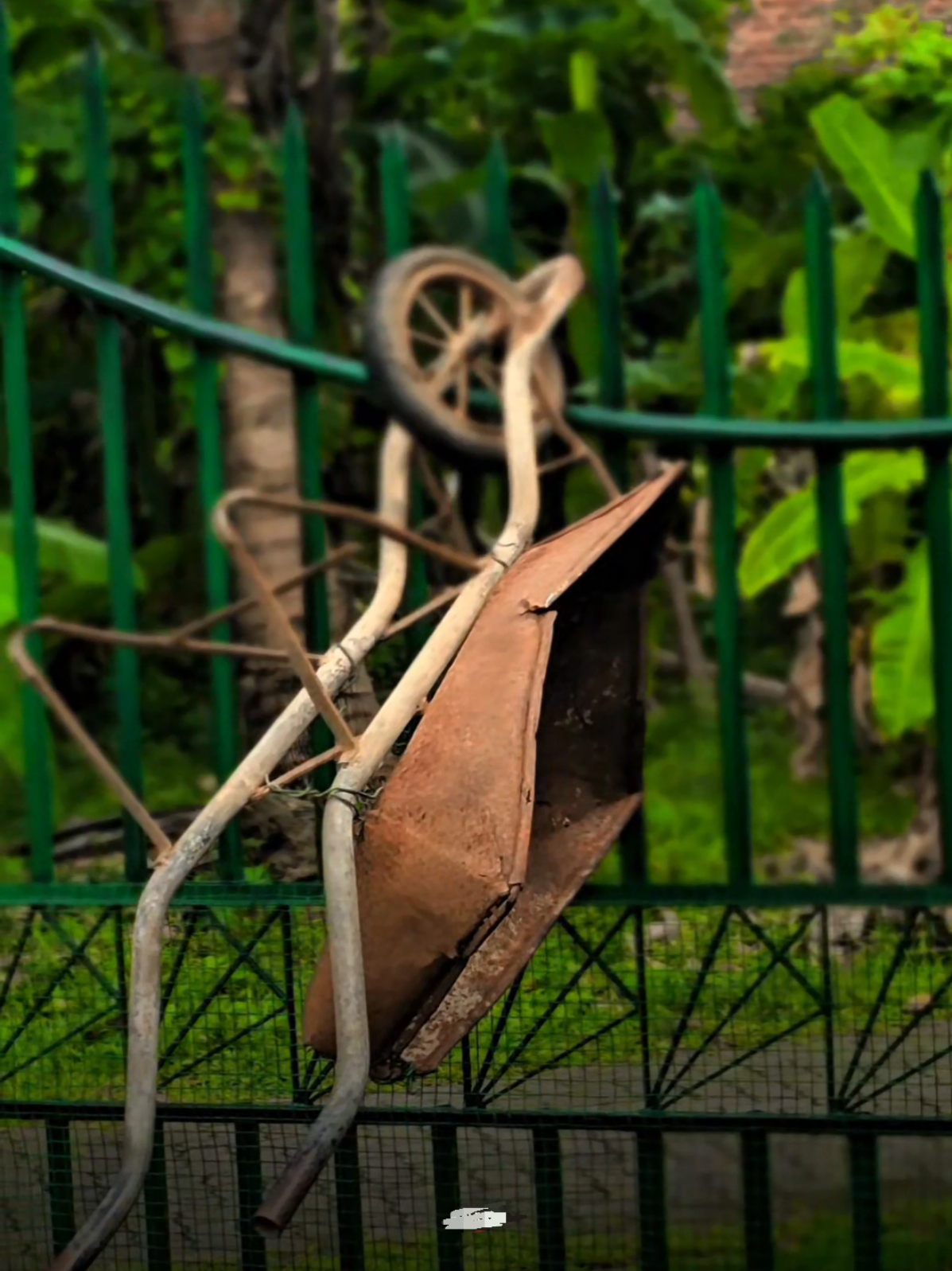 ඔයාලා පාරවල් පලපුවාම අපි යන්නේ කොහොමද 😓‼️ #CapCut #1millionaudition #foryou #creatorsearchinsight #edits  @Sandaru <🫀 @Sithum Maleesha @𝙺𝚊𝚟𝚒𝚗𝚍𝚞<🥤 @𝑯𝒆𝒔𝒉𝒉 💋 @SuddhazzZ☠️💲🍃 @KISSA ⁉️ @zexus 🌪️ @keshh_boiii 